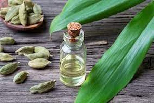 تصویر 5 از خرید عرق هل اصل + قیمت فروش استثنایی